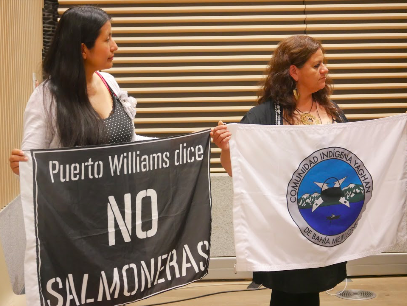 Press release for International Rights of Nature Tribunal and GARN participation in Chile