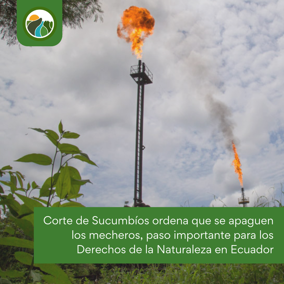 The Ecuadorian Court eliminates gas flaring in oil industry
