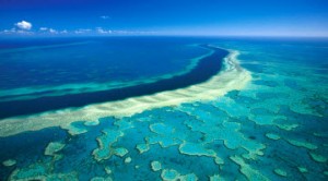 Cormac Cullinan judges ruling on Great Barrier Reef Case – Rights of Nature Tribunal – Quito