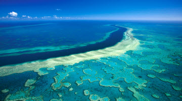 Great Barrier Reef, Australia – International Rights of Nature Tribunal – Quito