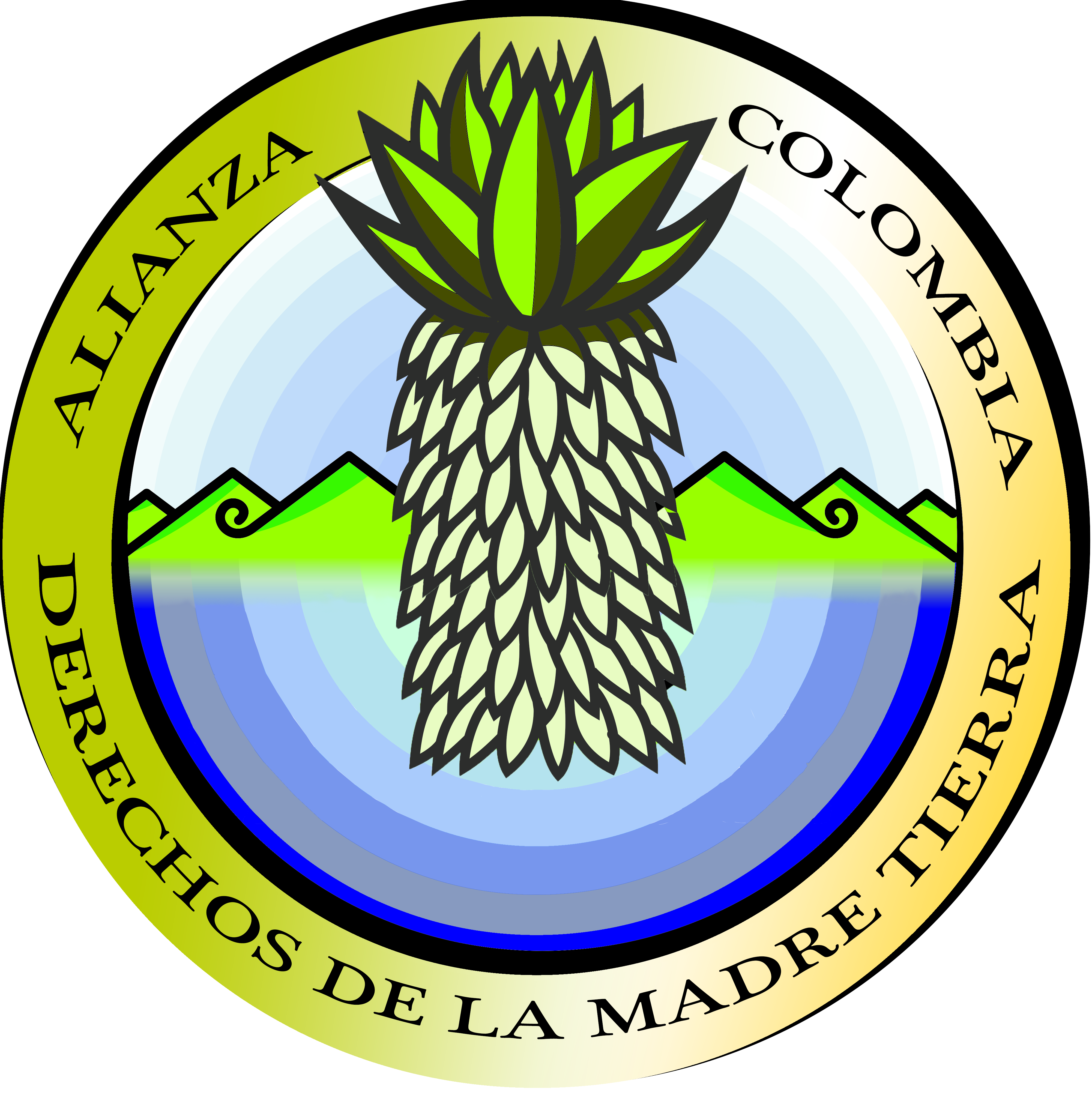 Alianza DMT Colombia