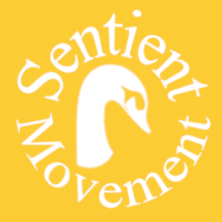 Sentient Movement