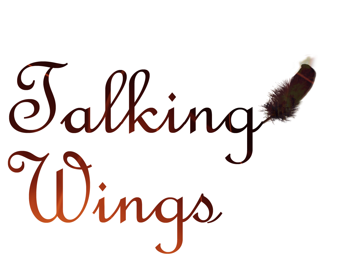 Talking Wings