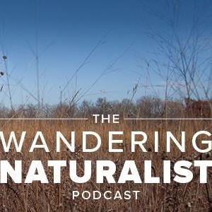 The Wandering Naturalist