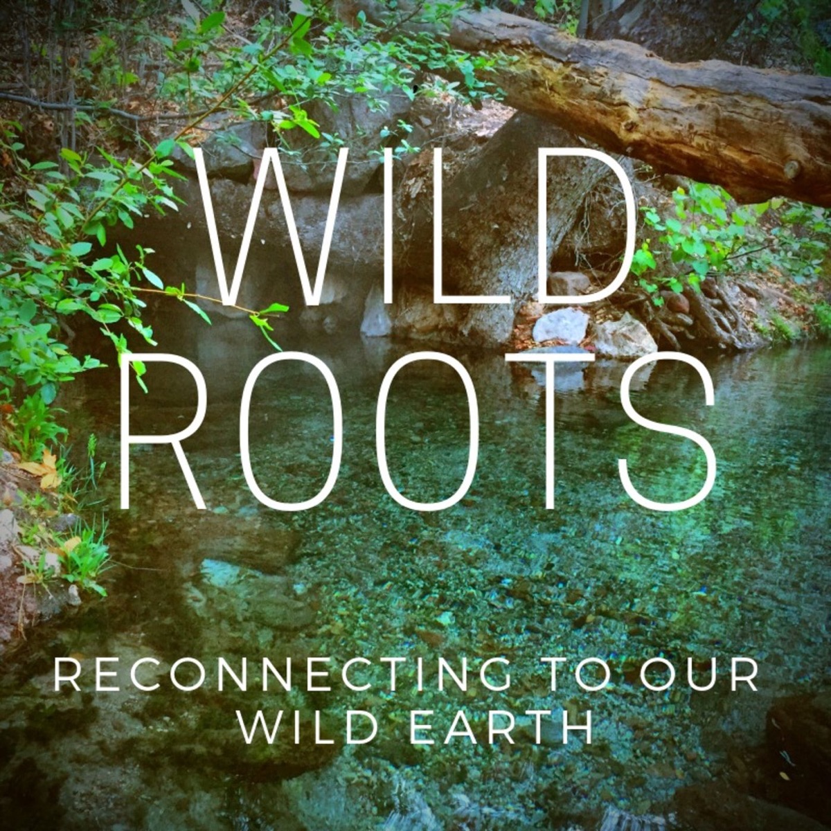 Wild Roots Podcast