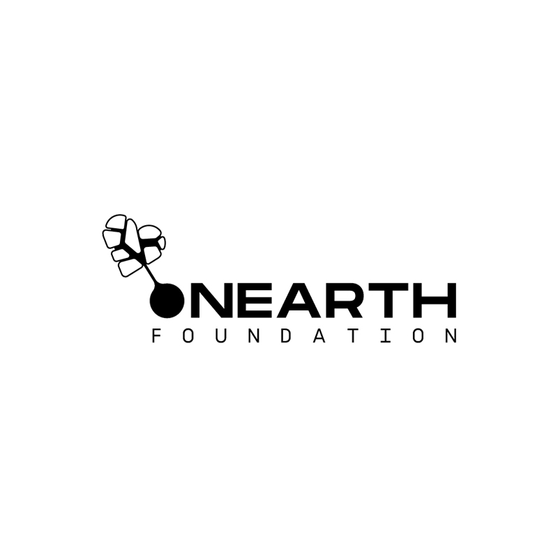 Fundacja onEarth