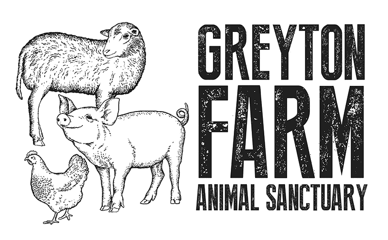 Greyton Farm Animal Sanctuary