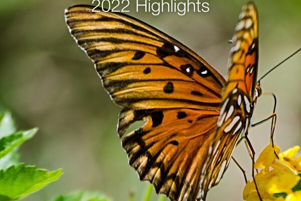This is all we did for the Rights of Nature in 2022 – join us in 2023!