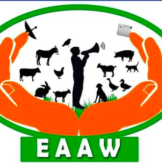 Education for African Animals Welfare (EAAW)