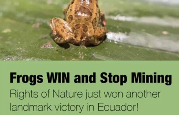 Rights of Nature won another landmark victory in Ecuador for the Intag Cloud Forest