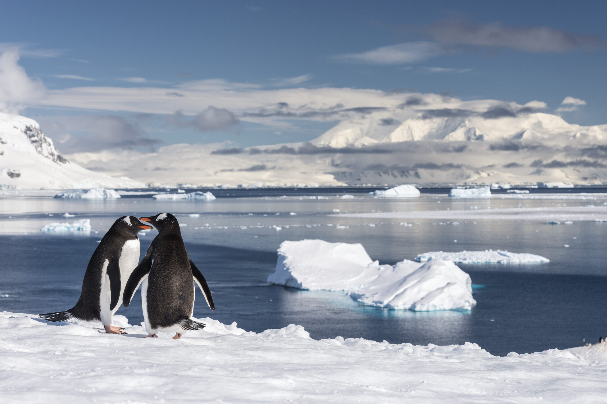 A Historic Step Towards Defending Antarctica’s Rights