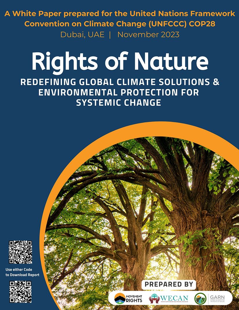 Redefining Global Climate Solutions and Environmental Protection for Systemic Change: A Rights of Nature COP28 White Paper
