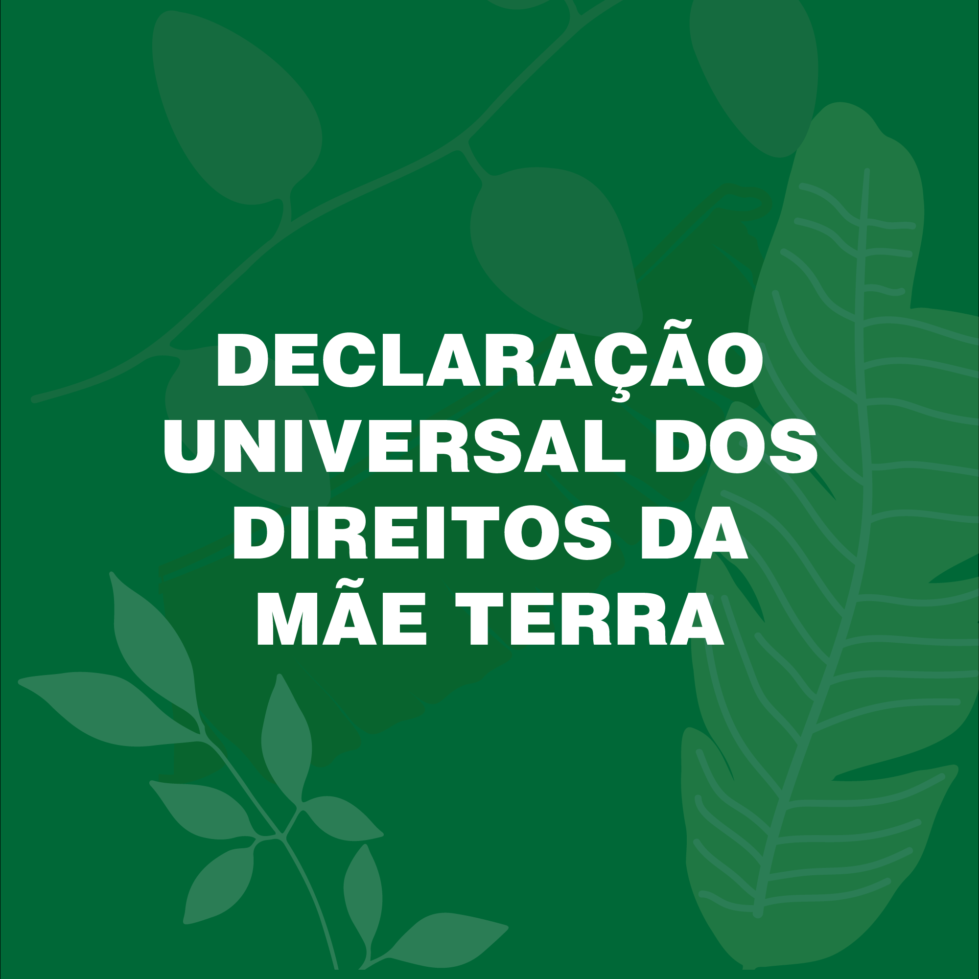 POR-Declaração-Universal-dos-Direitos-da-Mae-Terra