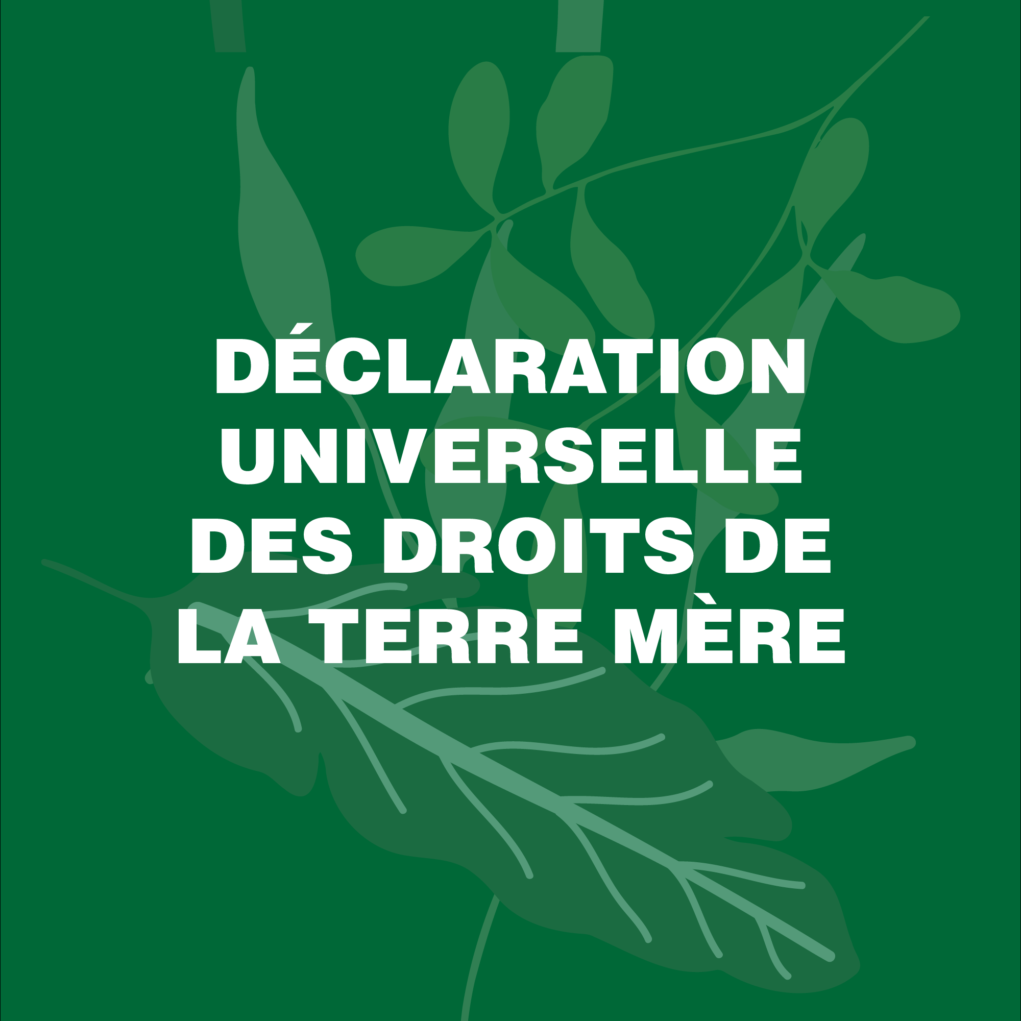 FRA-La-Déclaration-Universelle-des-Droits-de-la-Terre-Mère